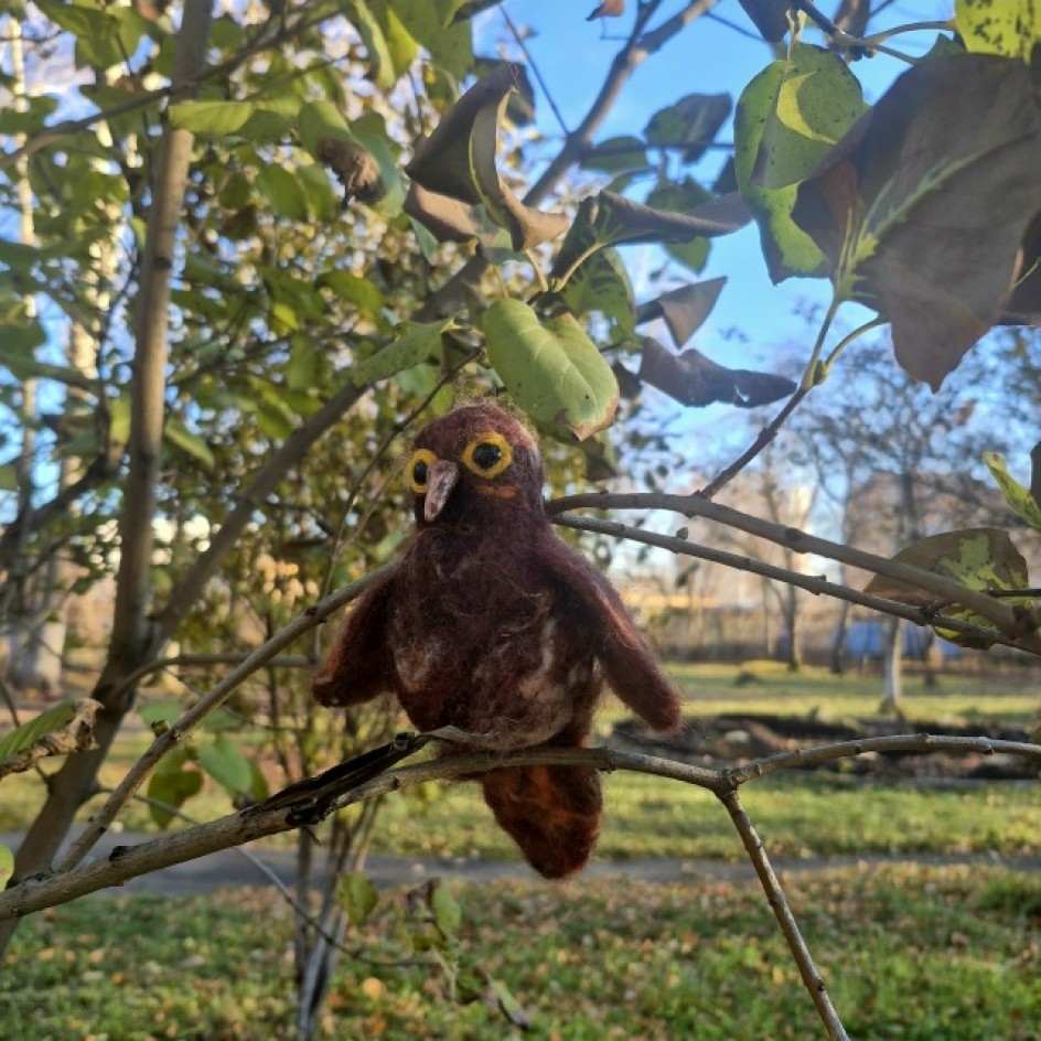 Птица-говорун