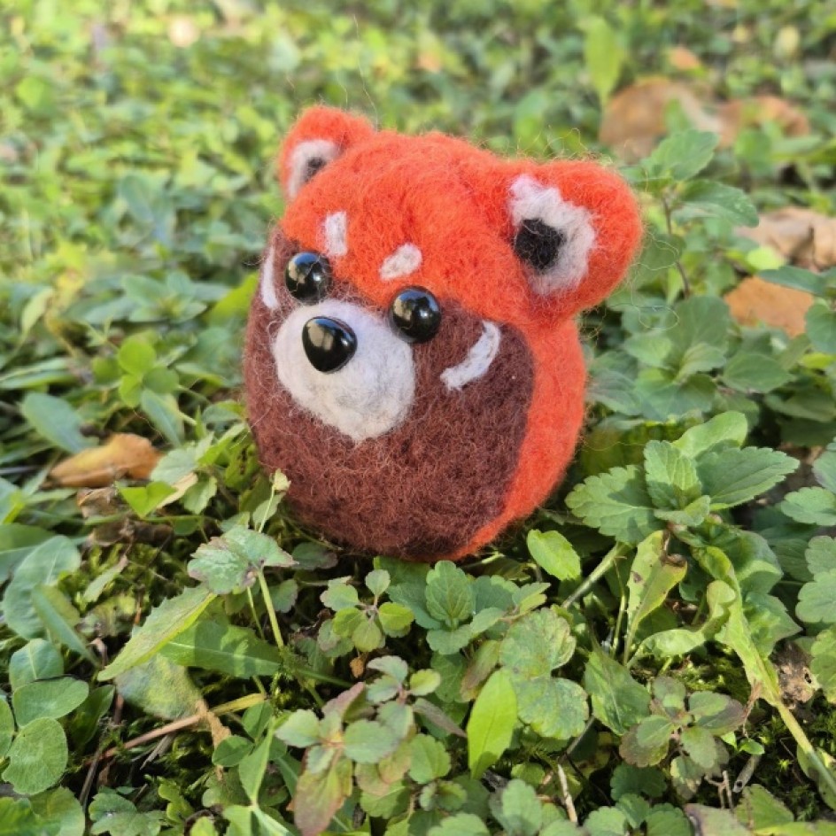 Красная панда