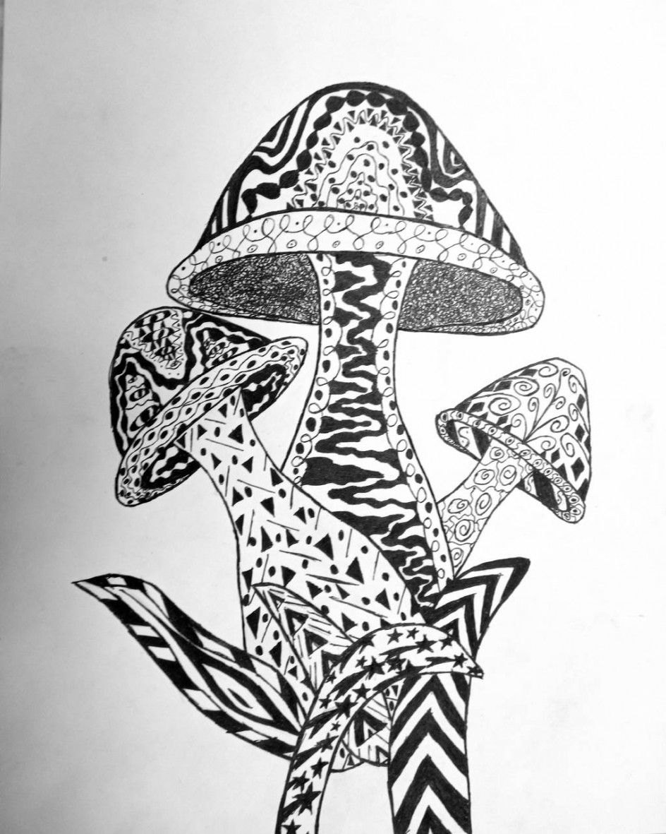 Декоративные  грибы