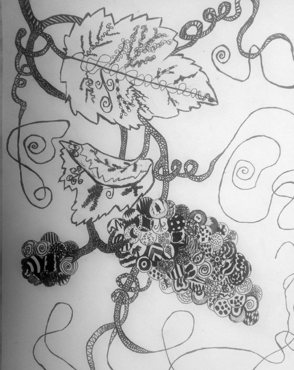 Декоративный виноград.