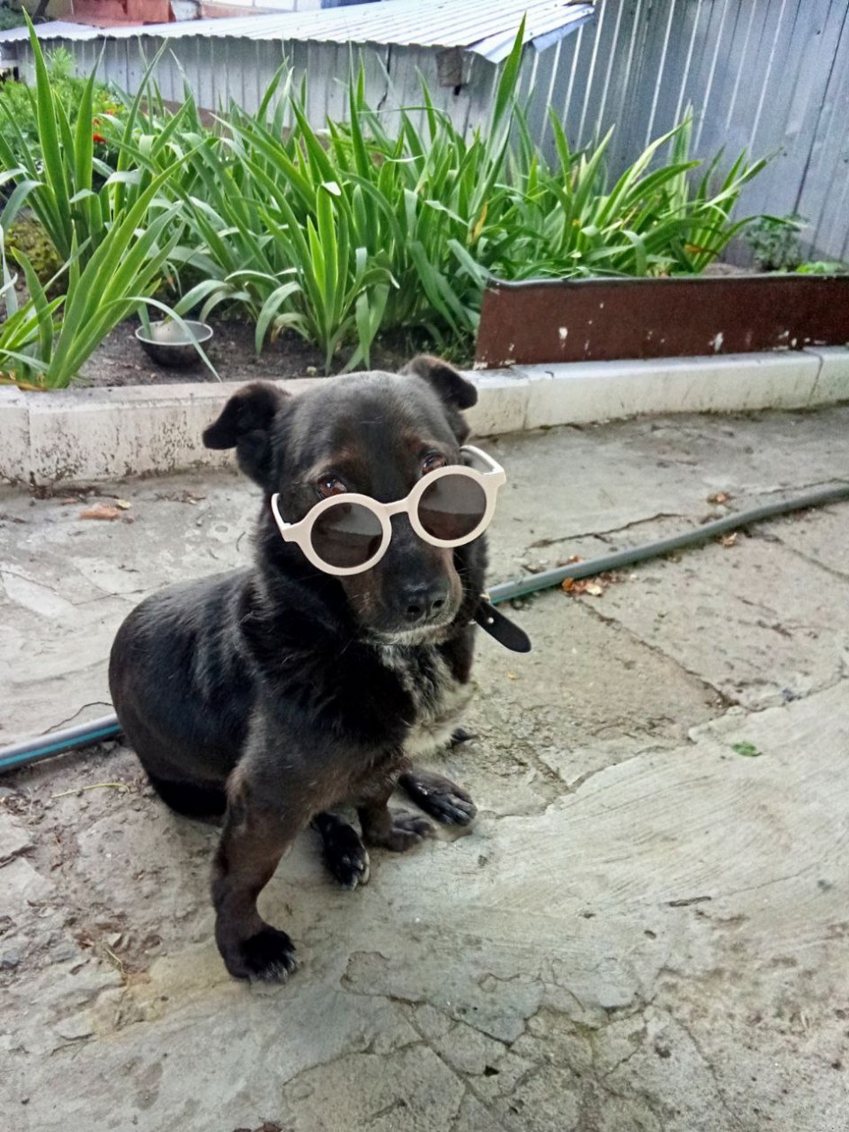 Годы идут…Я не молодею