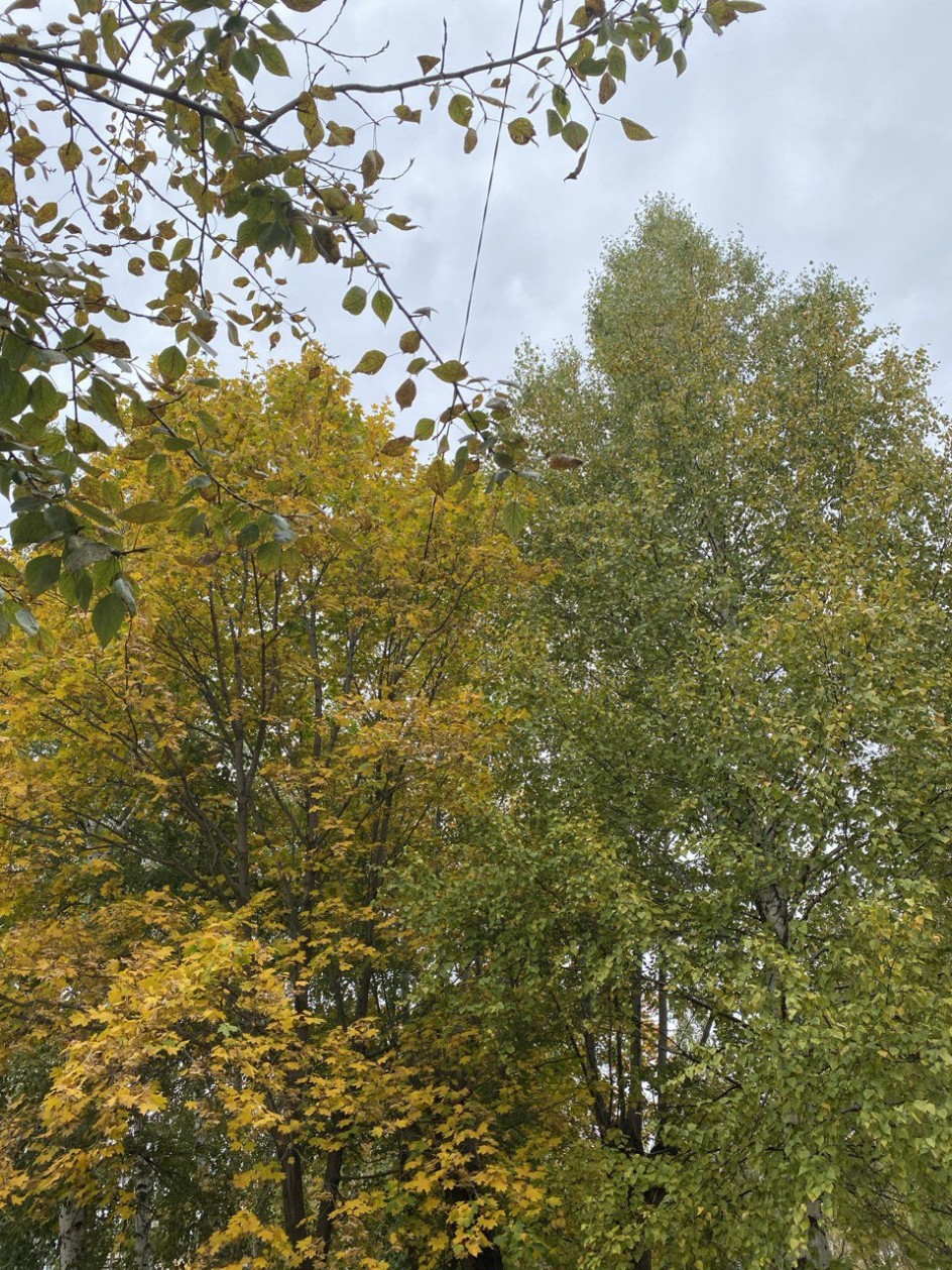 Осень пора - очей очарования!