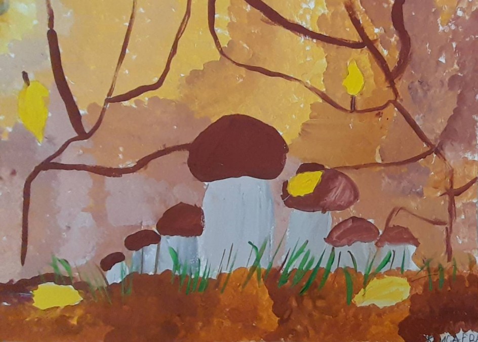 Белый гриб растет под елкой, любит прелые иголки