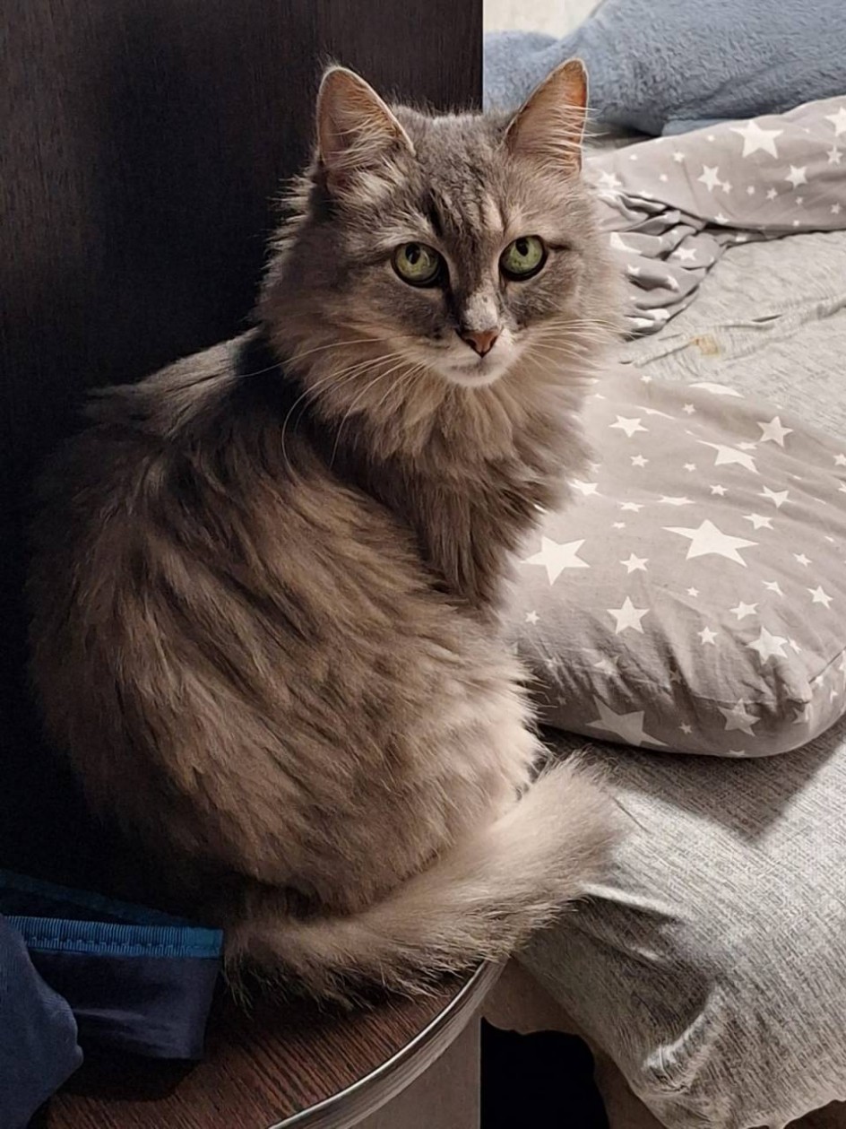 Хранительница домашнего уюта