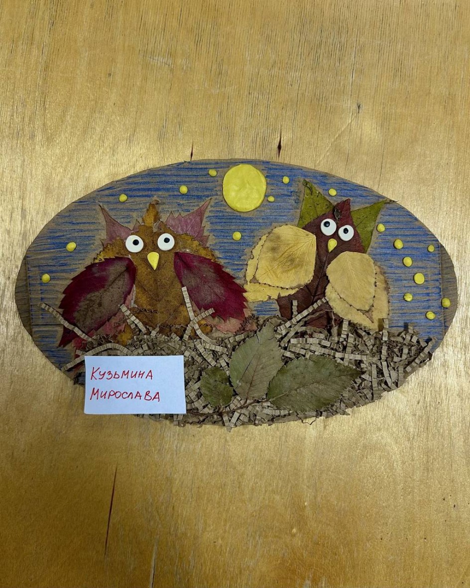 Совушки в гнезде