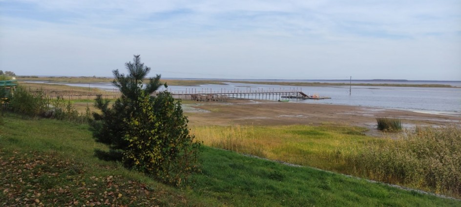 Обмелела Молога осенью