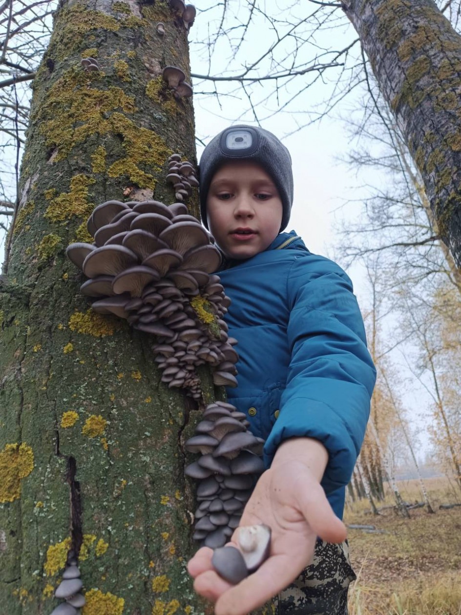 Нечаянная радость