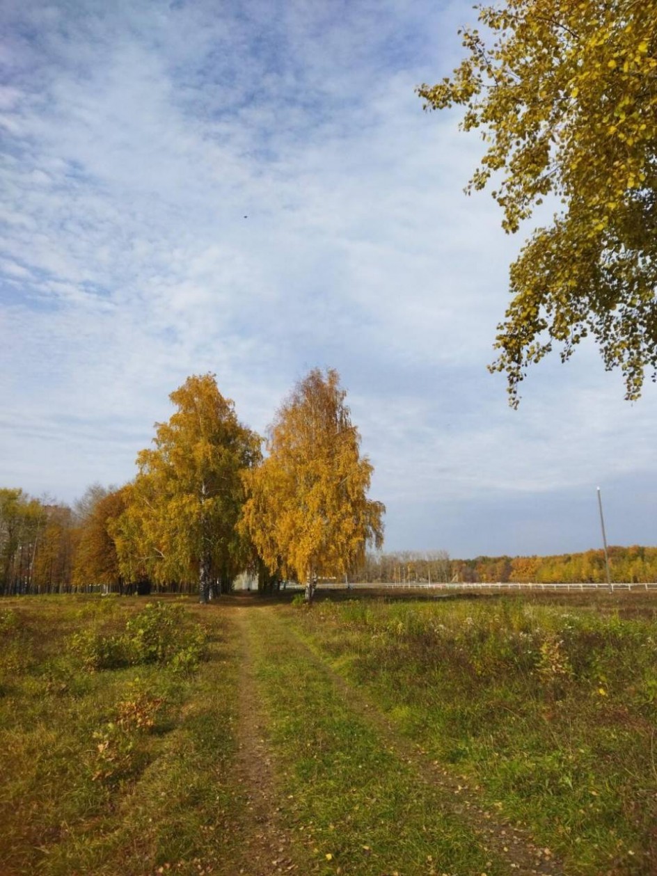 Осенние красоты природы