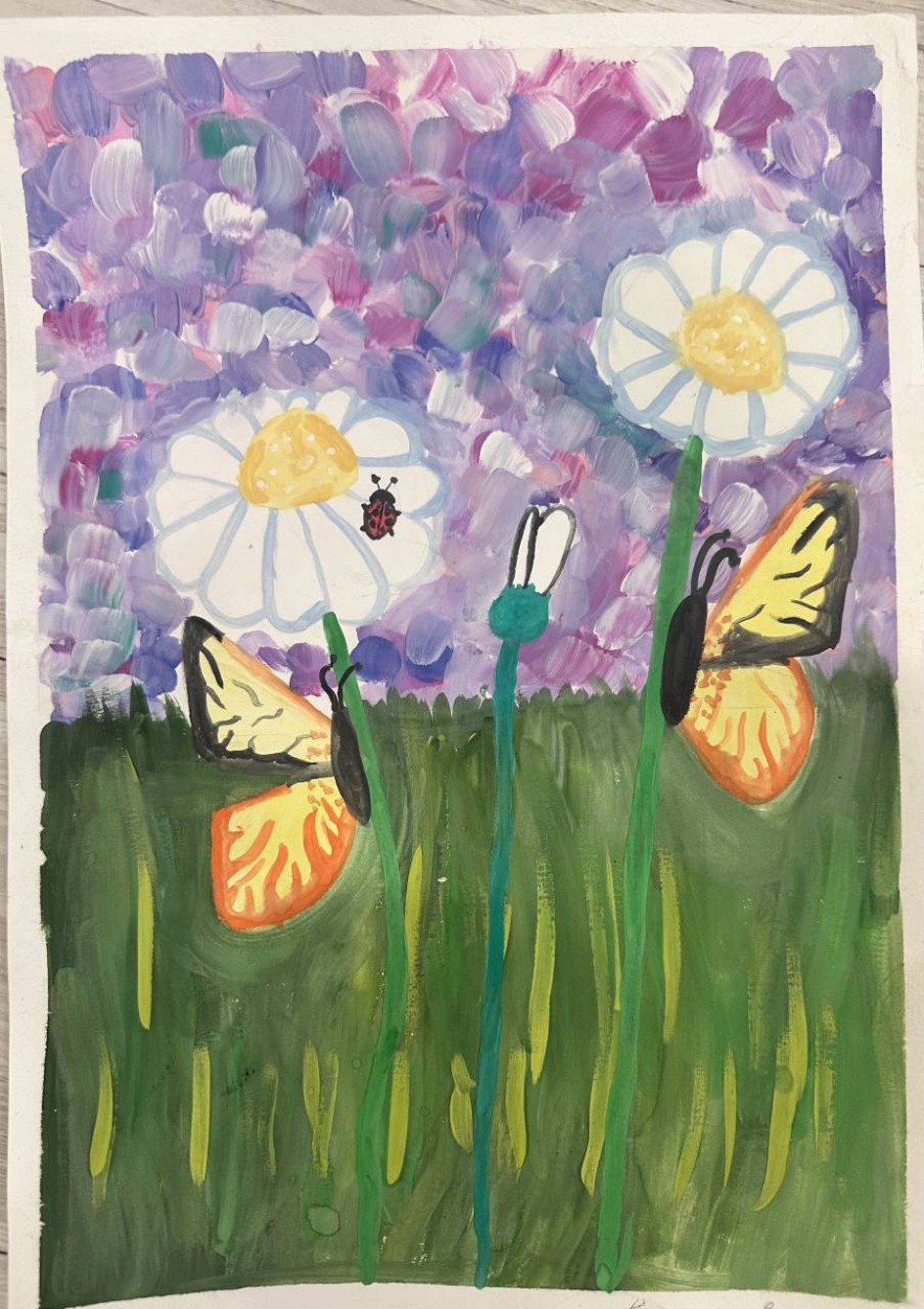 Летние полевые цветы