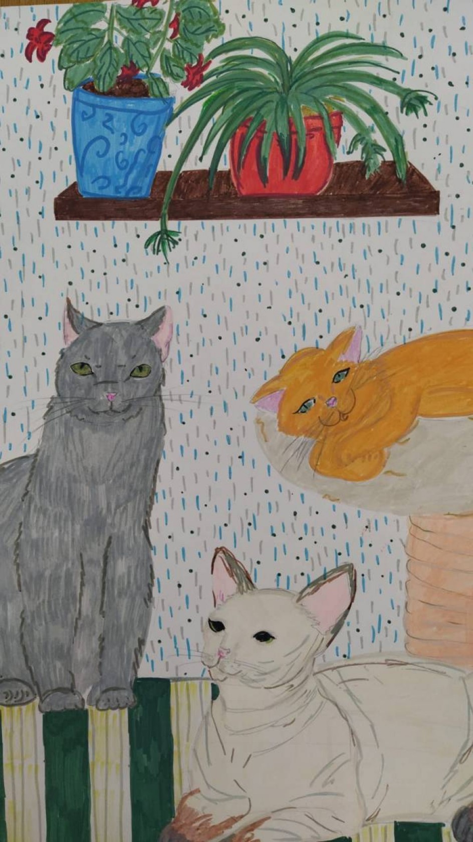 Кошачья дружба