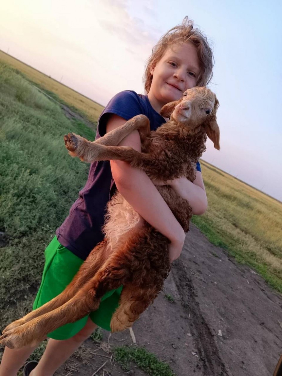 Мой верный друг