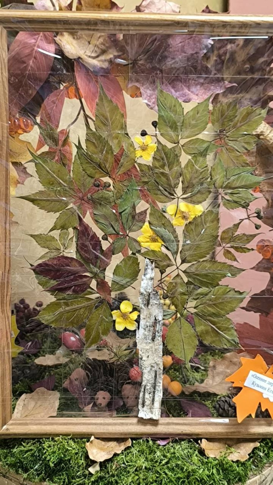 "Чудо дерево"