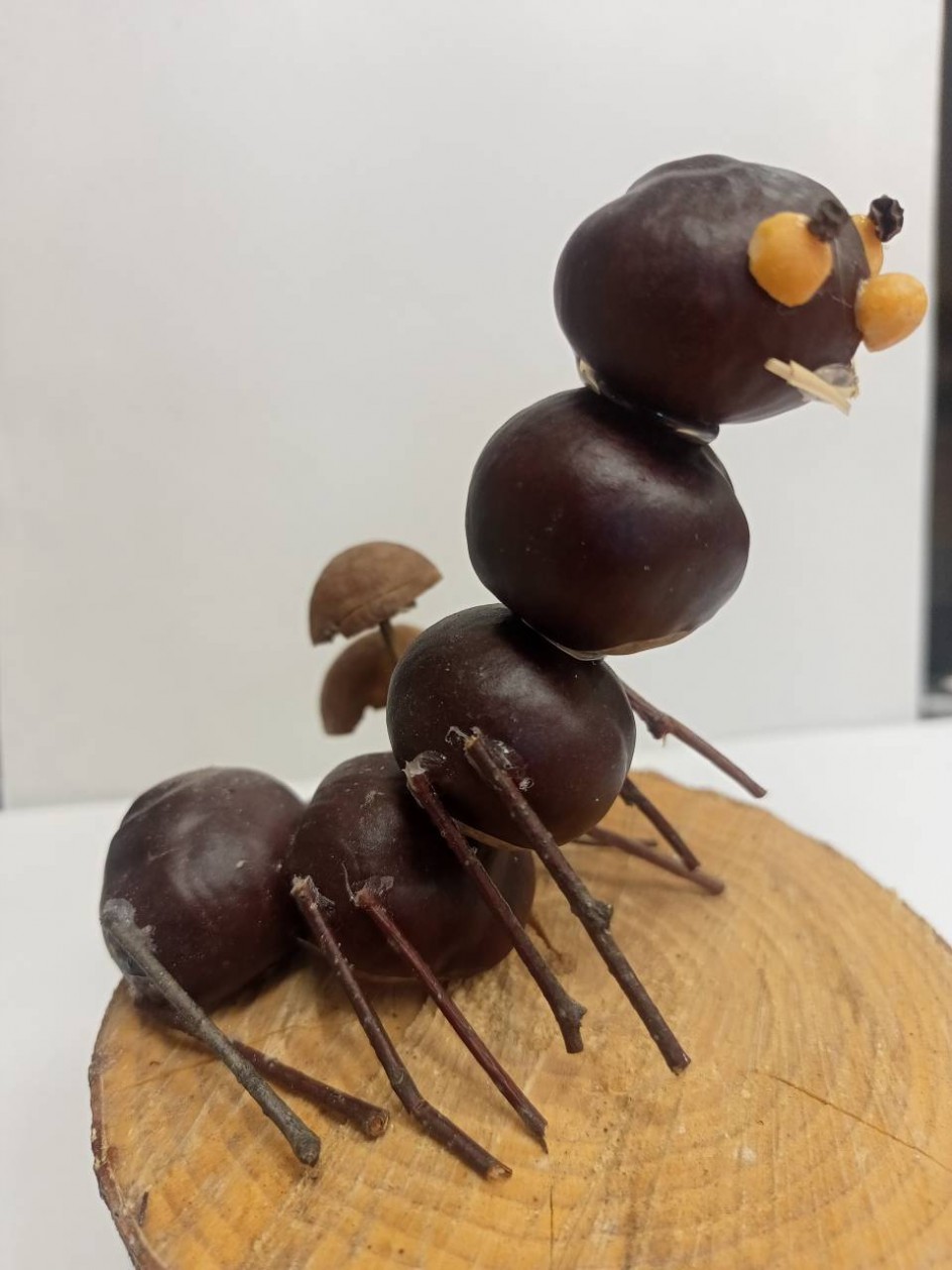 "Весёлая гусеница"