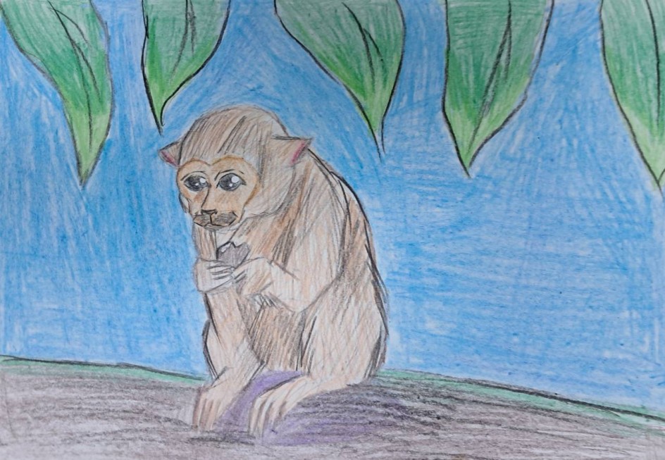 "Обезьянка"