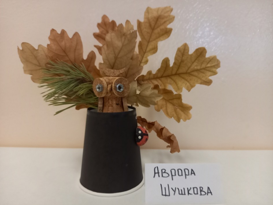 "Мудрая сова"