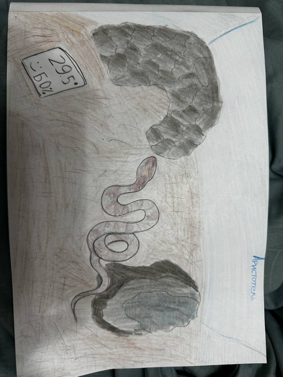 Мой  домашний змей