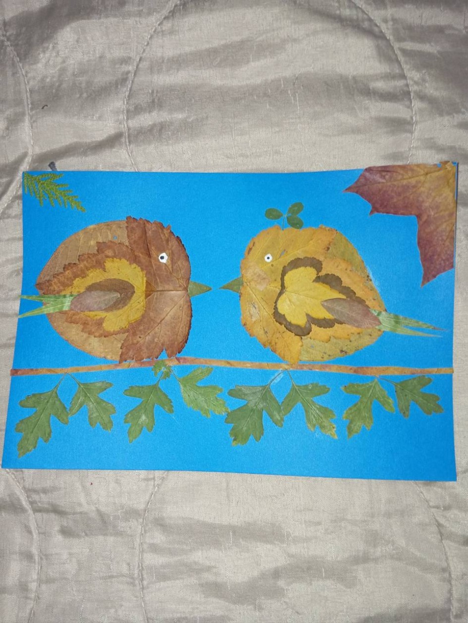 Птички Неразлучники