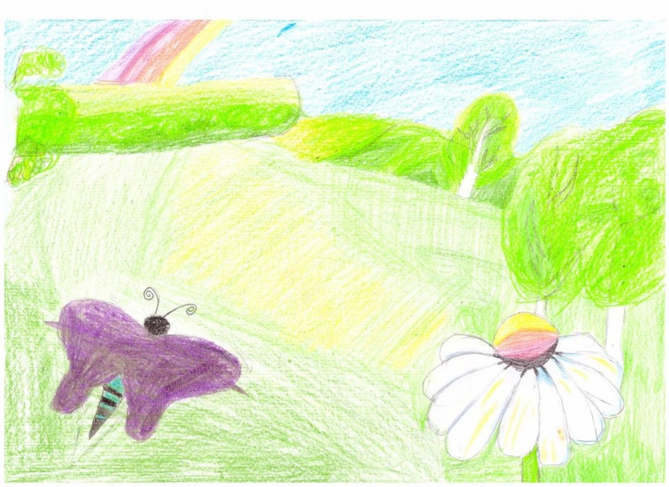 Красота летнего дня.