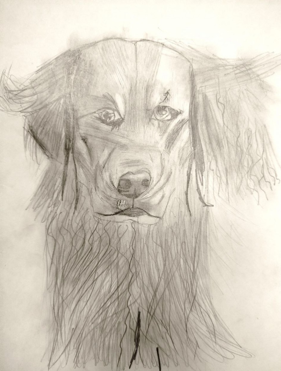 "Милый щенок"