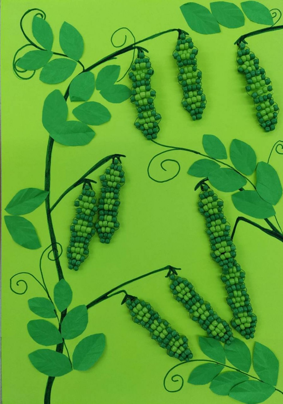 Мы посеяли горох...