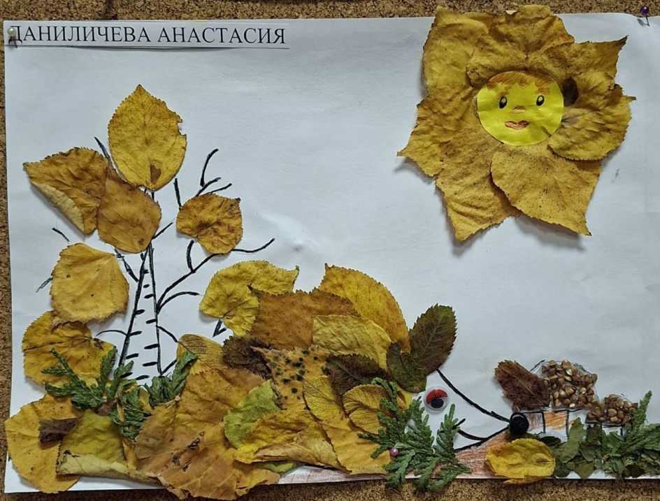 Дистики кругом!