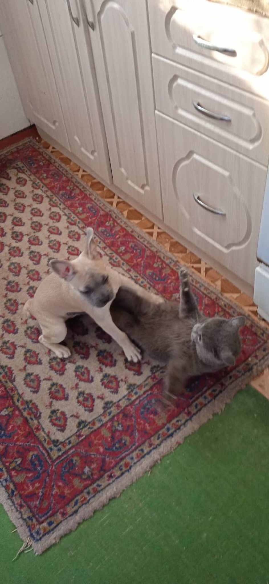 "Вместе весело играть"