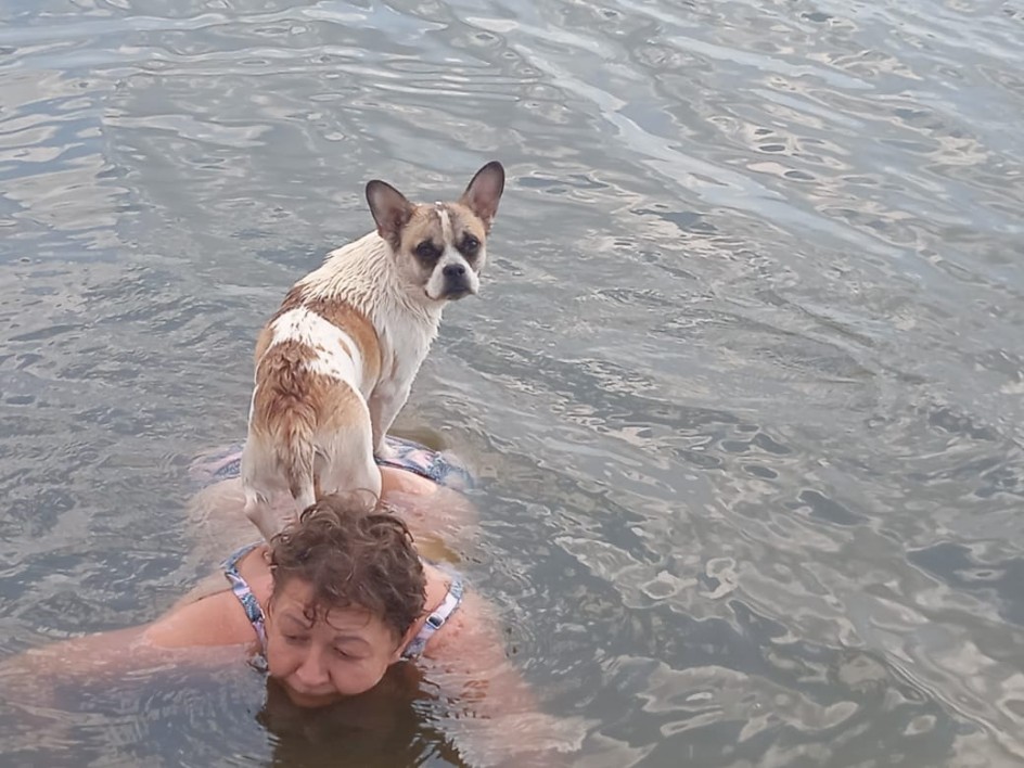 "Плыви, плыви "кораблик"