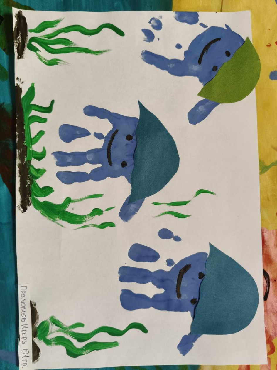 Море и морские обитатели