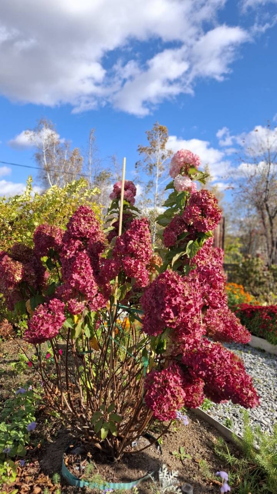 "Краски осени"