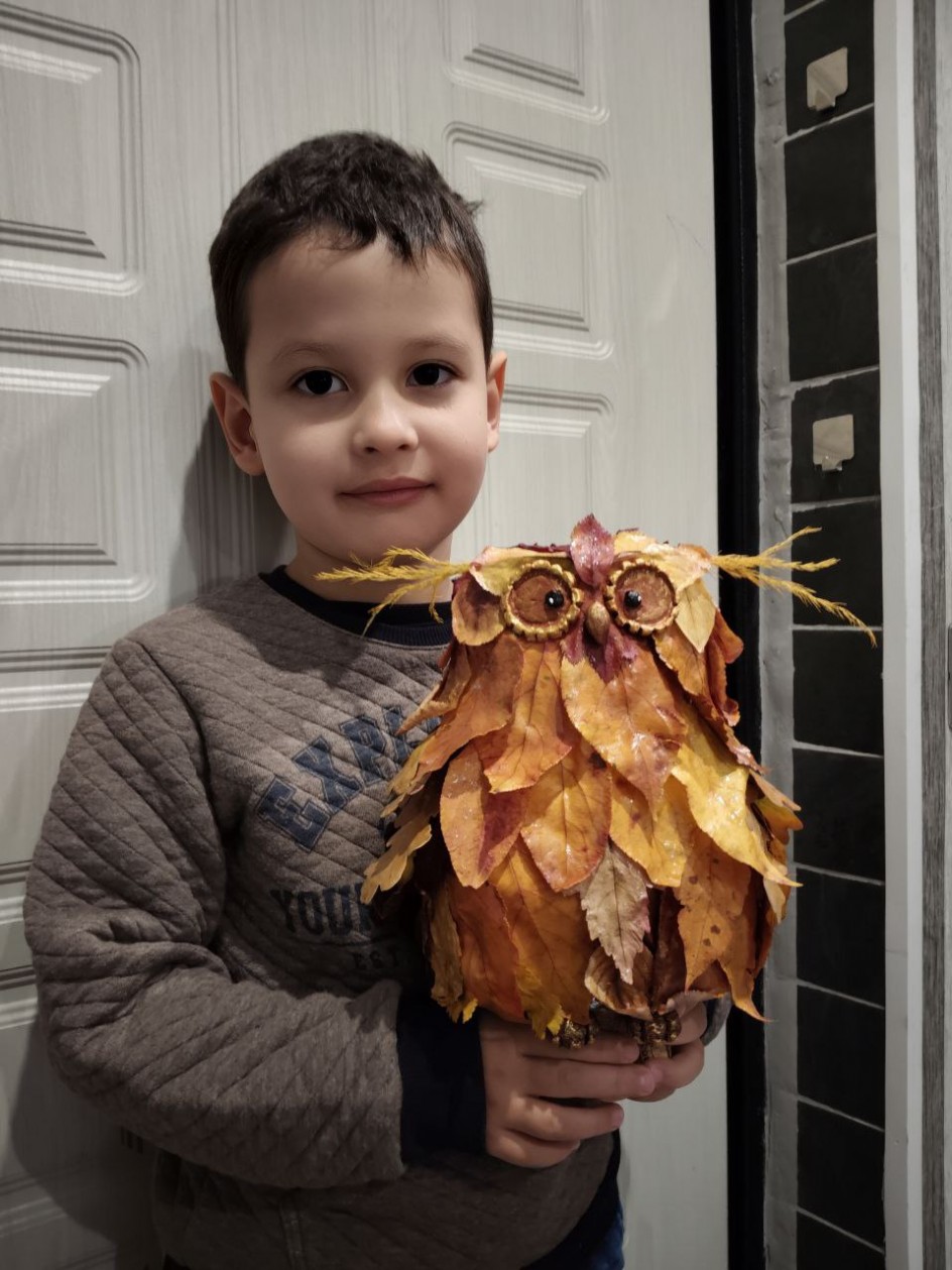 Сова очарование осени