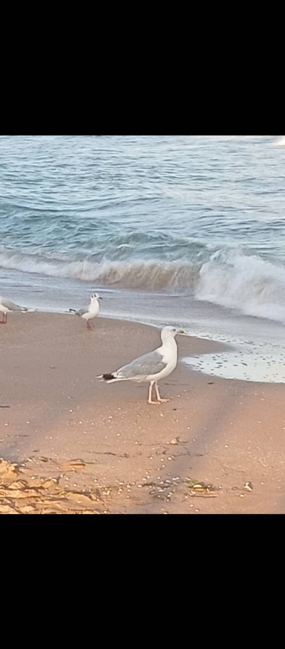 Утро на море