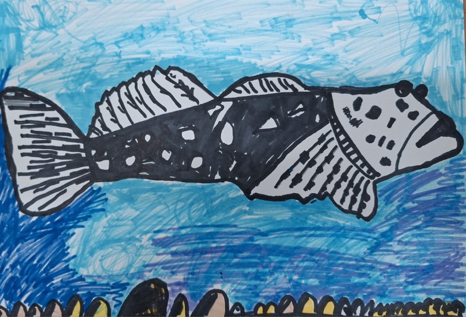 Обыкновенный подкаменщик