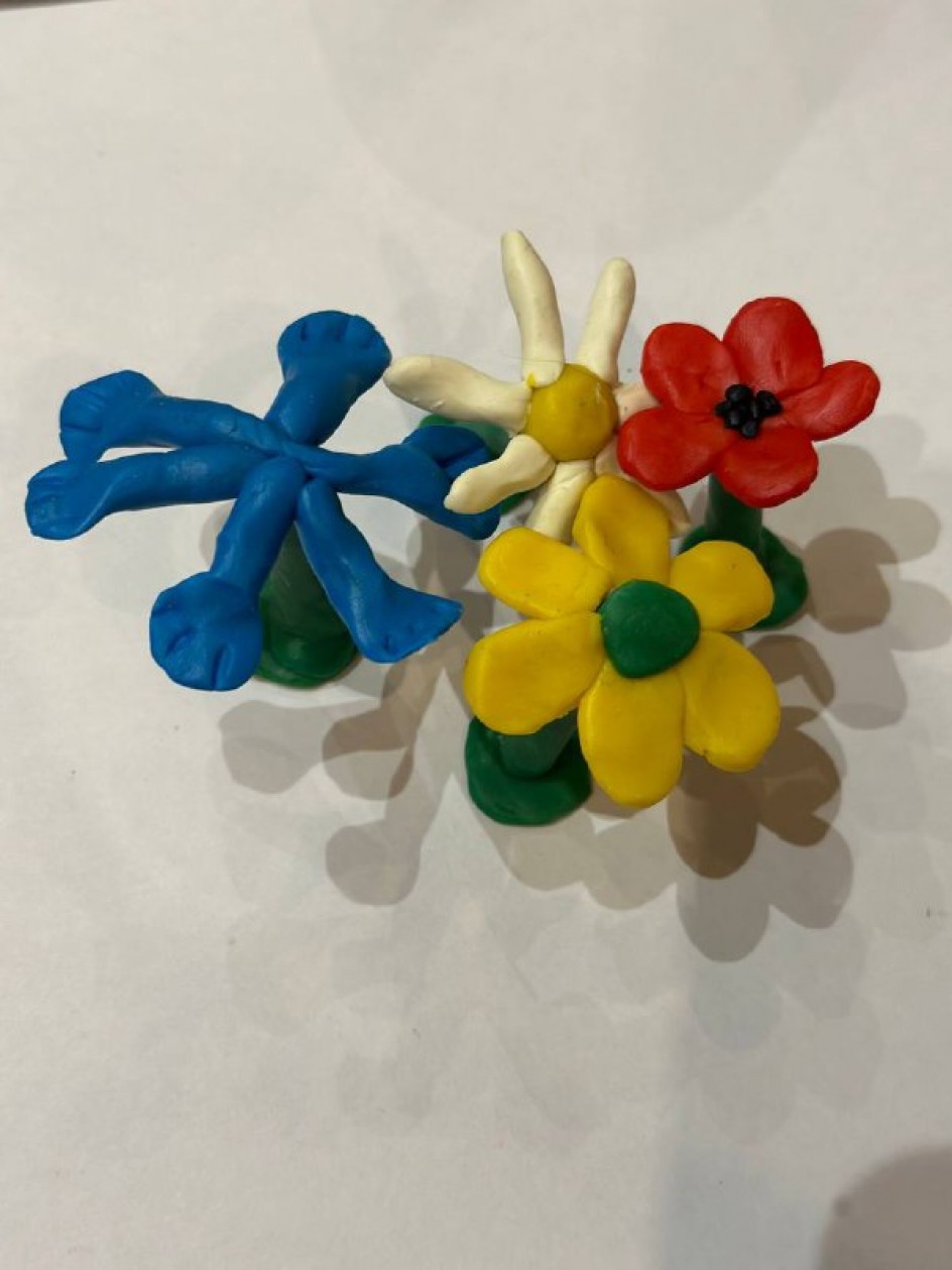 " Прекрасные цветы"