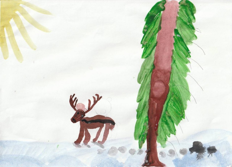 Северный олень