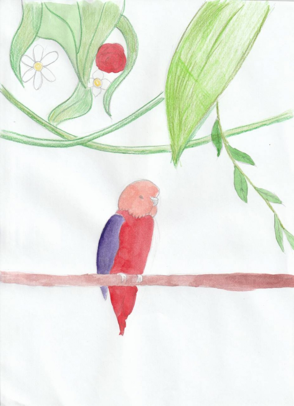 птичка-невеличка