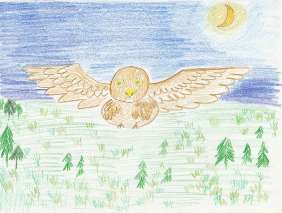 ночь над лесом