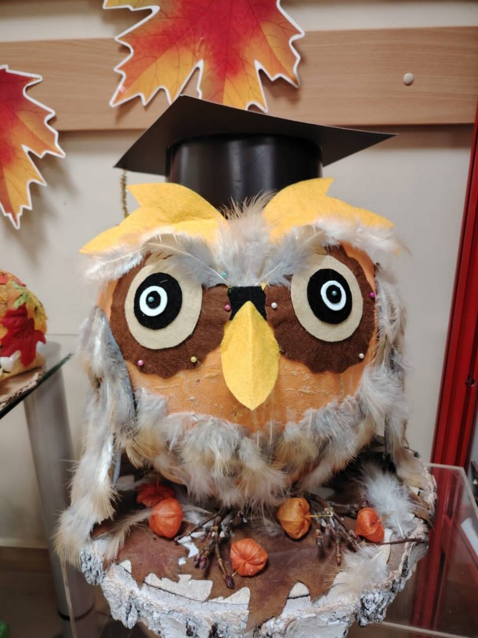 "Мудрая сова"