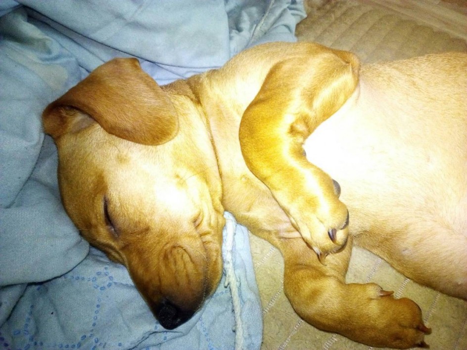 "Спи, поспи, малыш"