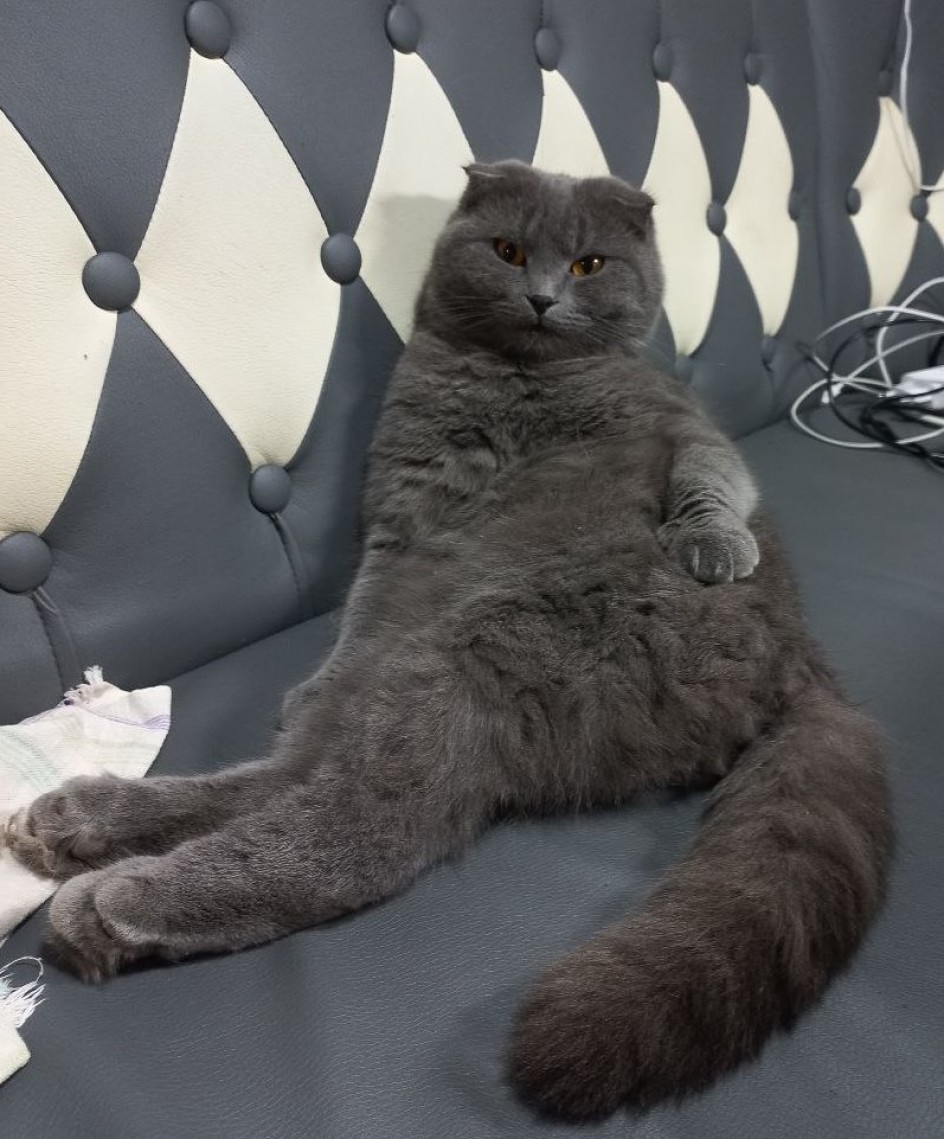 Это место-моё!