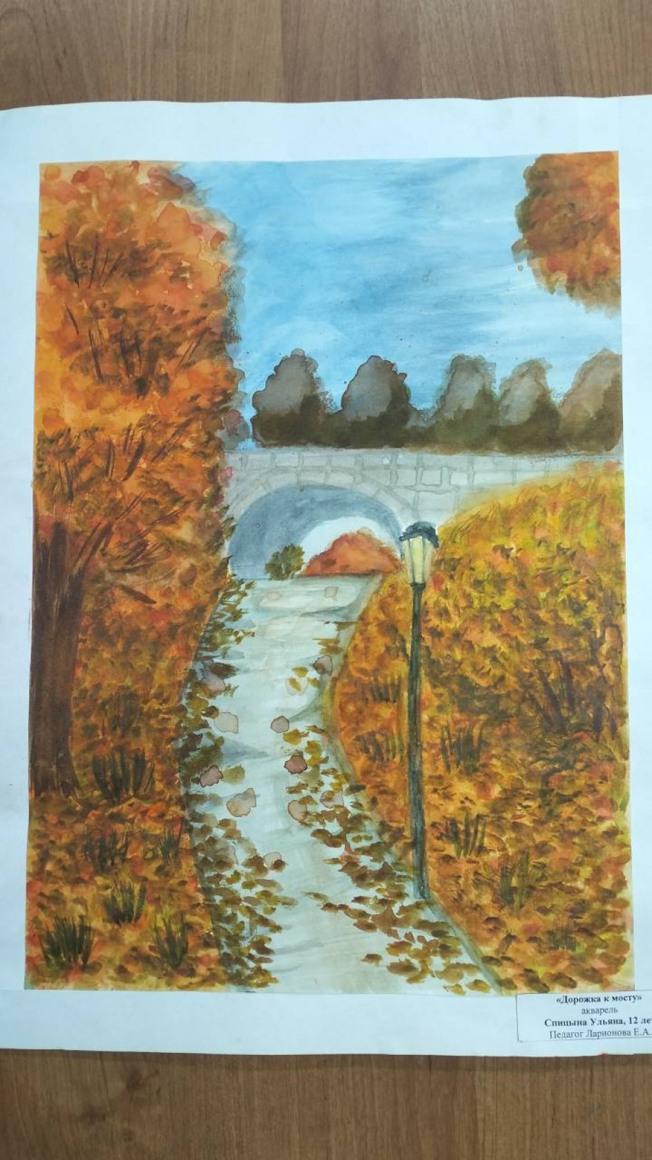 Дорожка к мосту