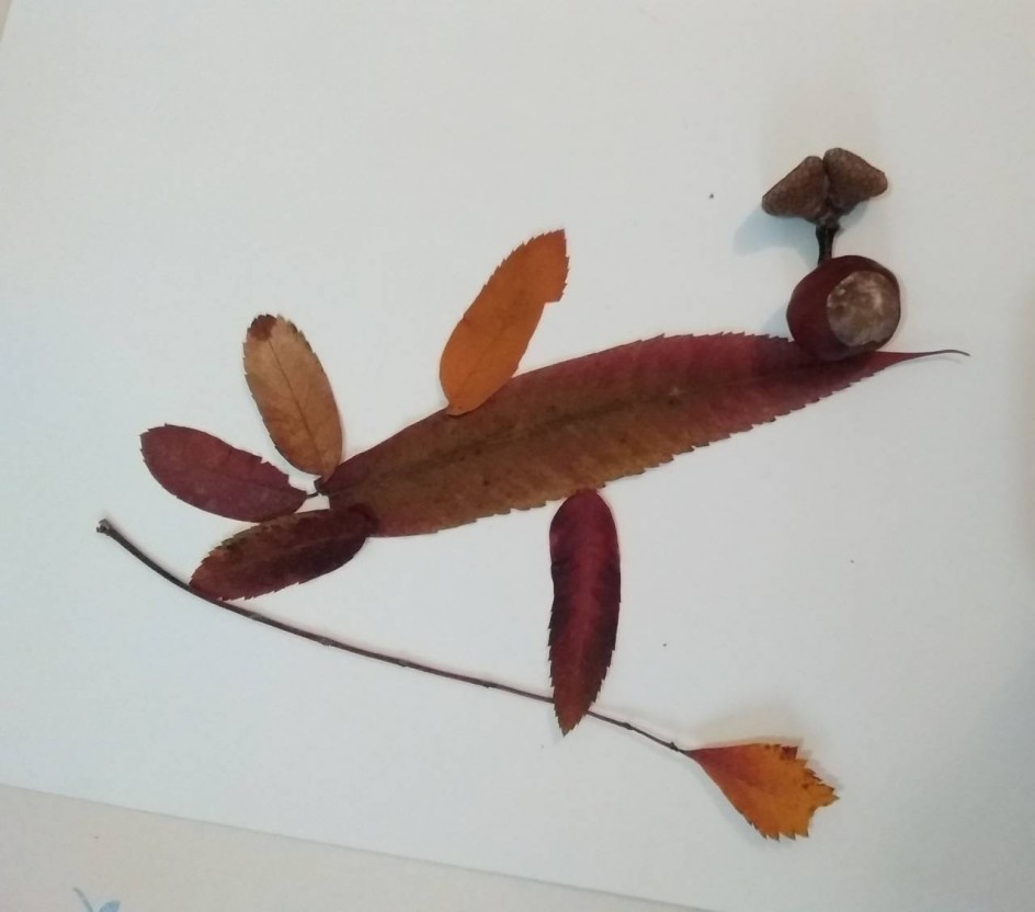 Попугай в осеннем парке.