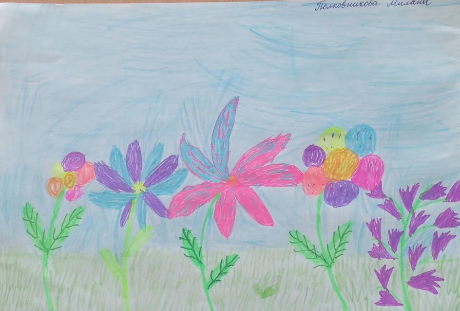 Мои любимые цветы