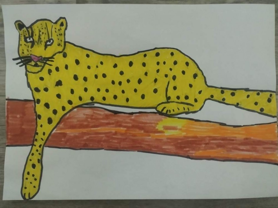 отдых леопарда