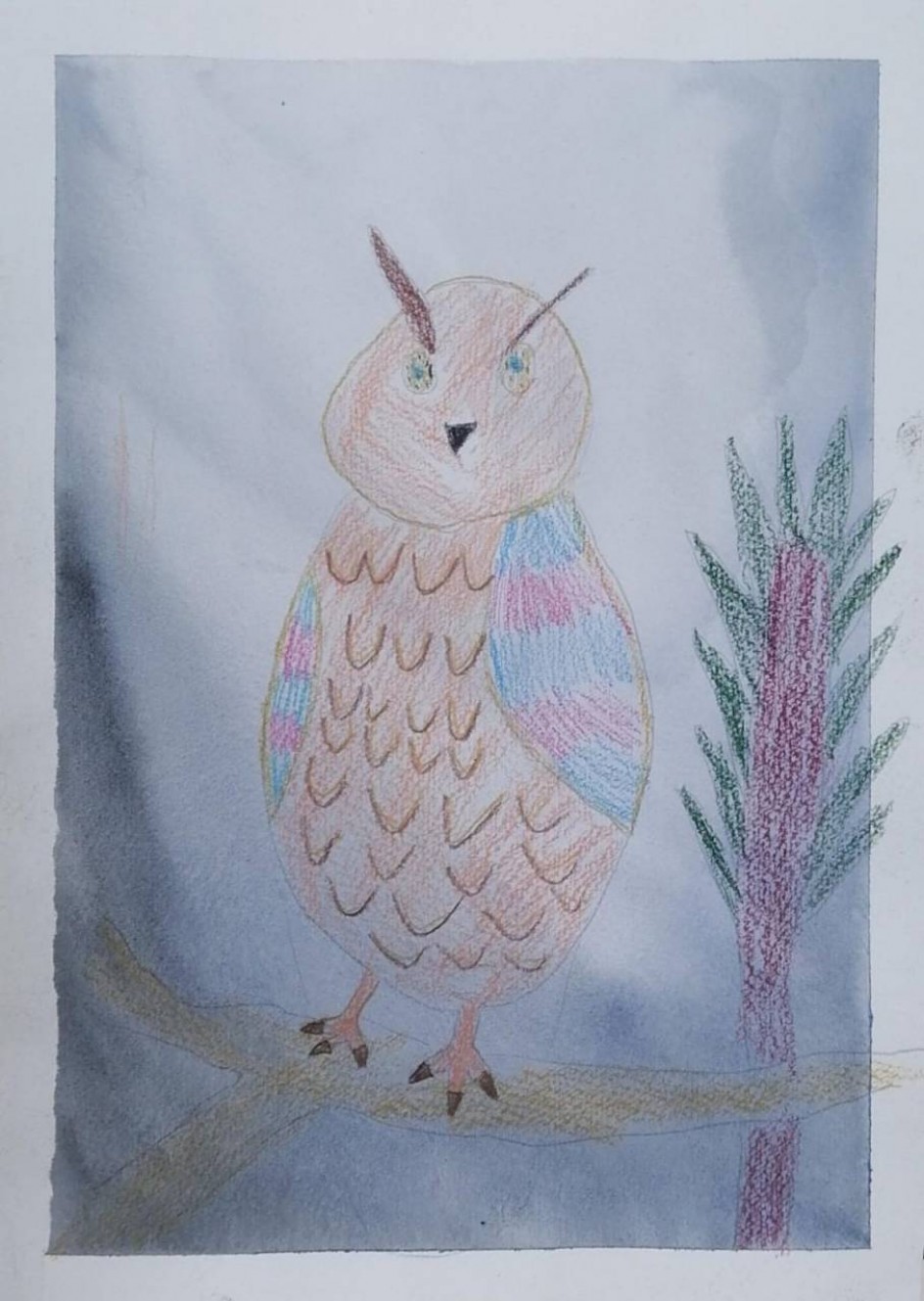 Сова на дереве сидела и во все глаза глядела