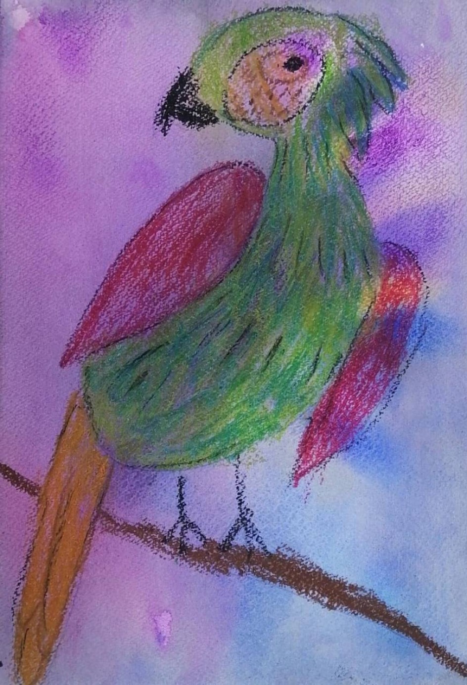 Попугай сидит на ветке яркой красочной расцветки