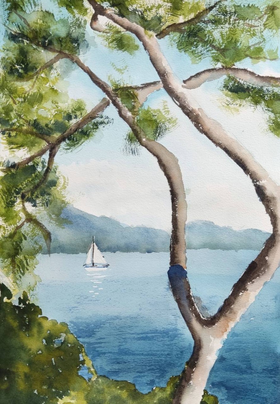 "Парусник в заливе"