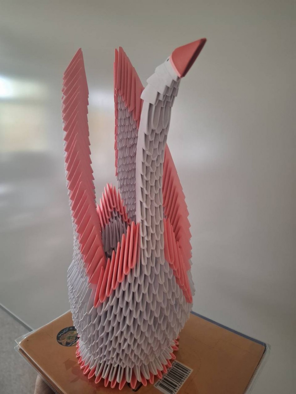 Грациозный лебедь