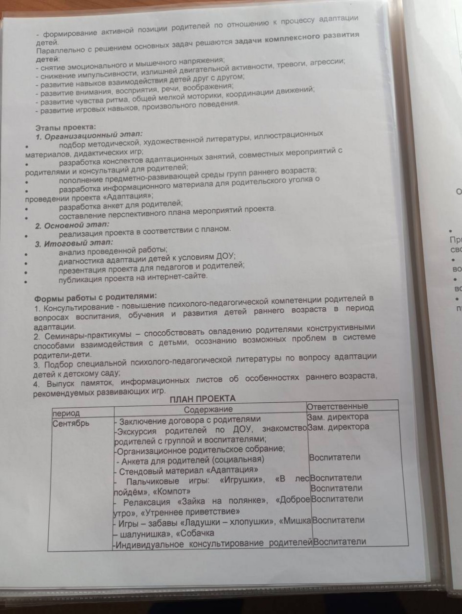 Педагогический проект "Первый раз в детский сад!"