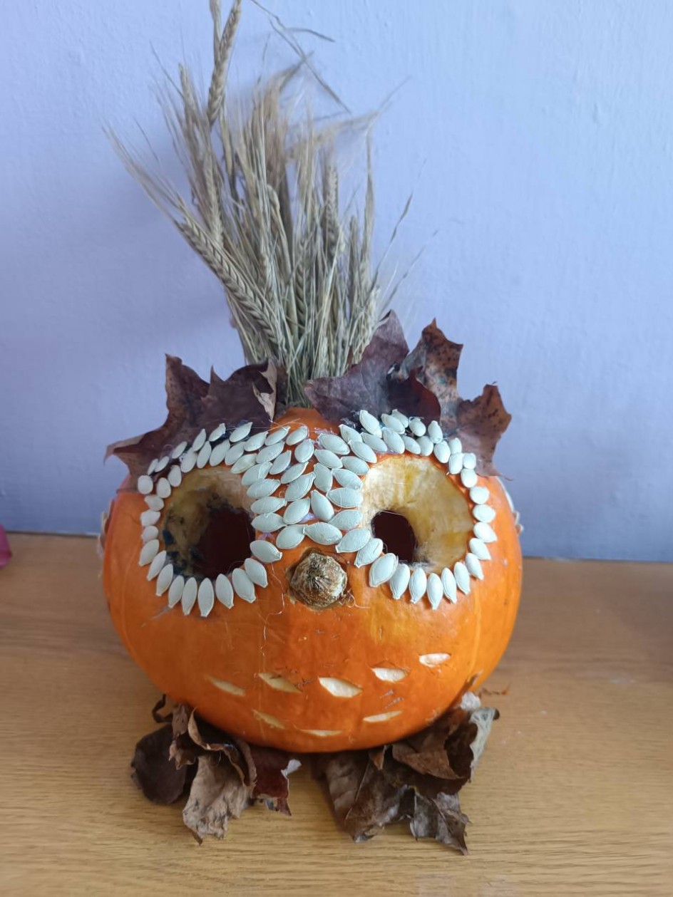 "Осенняя сова"