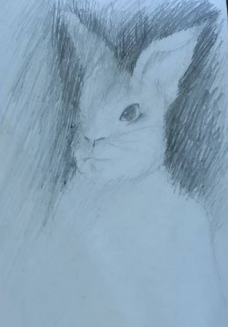 Белый кролик